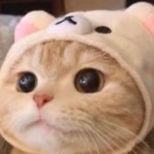 Meet your Posher, Adrian